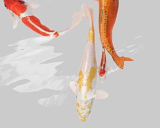 网传Xbox开发者新直面会节目定于明年Q1举行